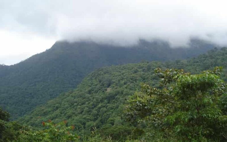 5 Best Tourist Places to Visit in Ponmudi, Kerala