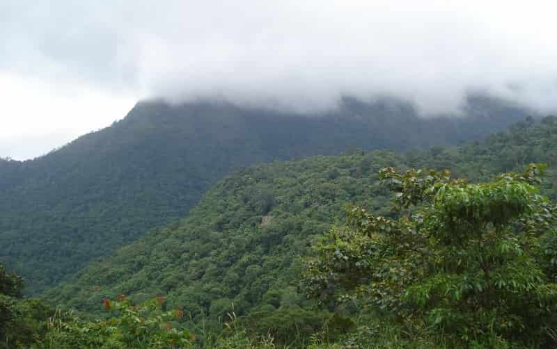 Golden Valley, Ponmudi