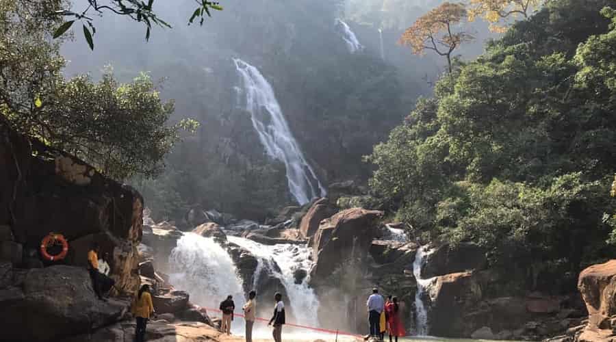 Betla National Park, Jharkhand - A Detailed Travel Guide 2022